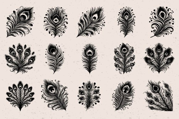 Download Peacock Feather SVG Bundle - Feather svg Collection