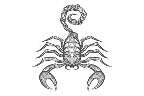 Download Scorpion in Decorative Tribal Ornament S - Premium Resources